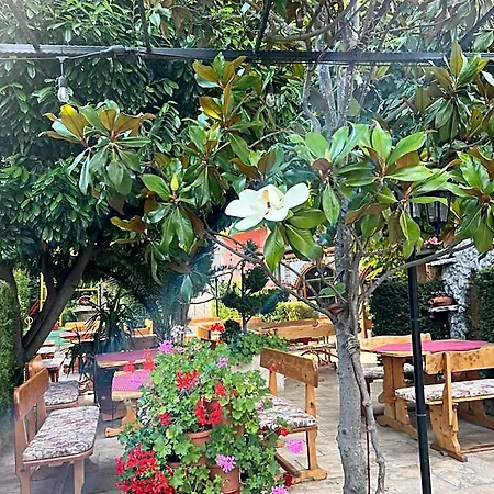 Hotel Jambo Varna